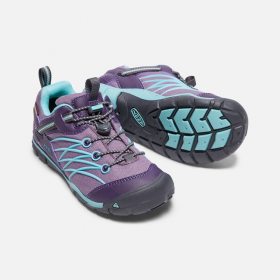 Keen CHANDLER CNX WP JR montana grape/aqua haze